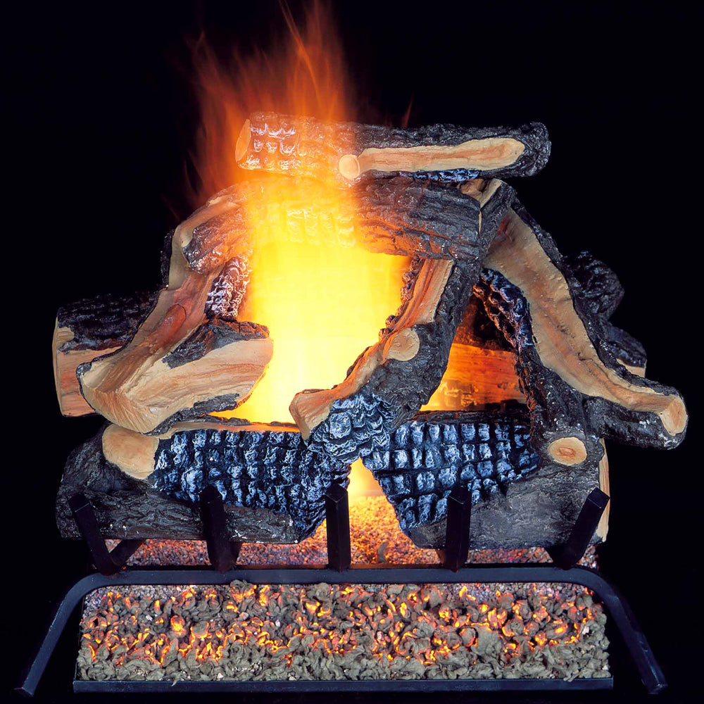 Vented Natural Gas Fireplace Log Set 24 in., 55,000 BTU, Matc