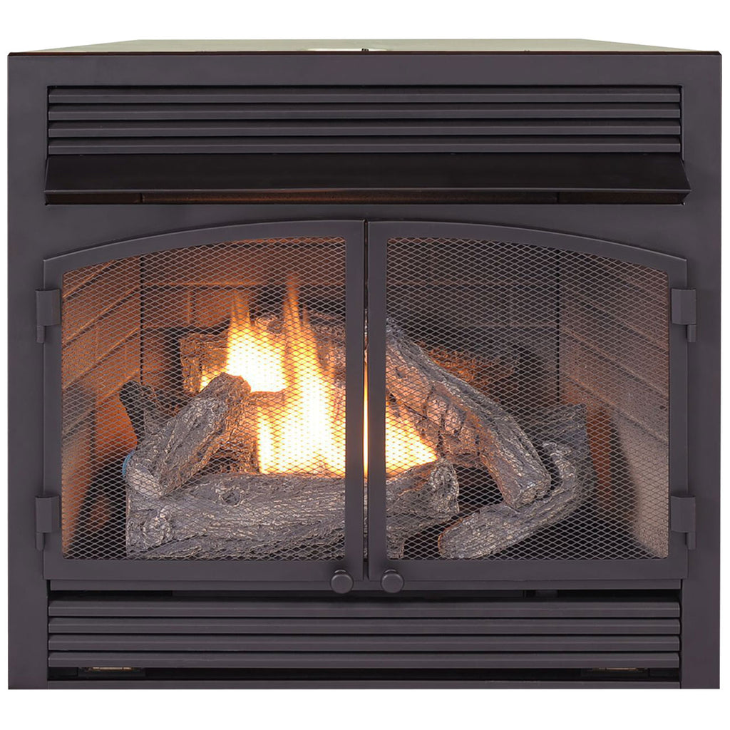 USAProcom-ProCom Dual Fuel Vent Free Gas Fireplace Insert - 32,000 BTU, Remote Control - Model# FBNSD400RT-ZC-ProCom Heating