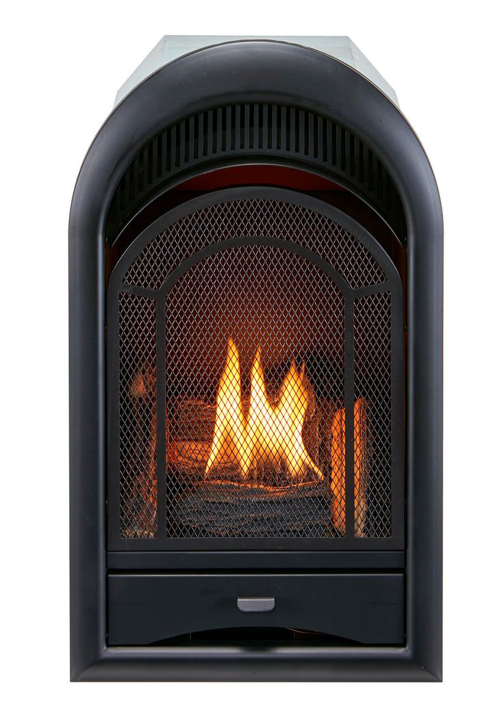 ProCom Dual Fuel Vent Free Gas Fireplace Insert 