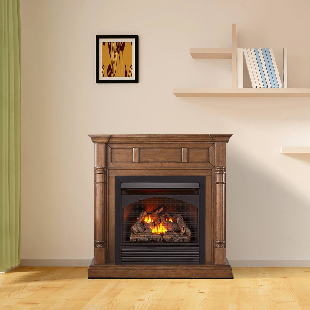 USA ProCom Fireplace Insert System Image