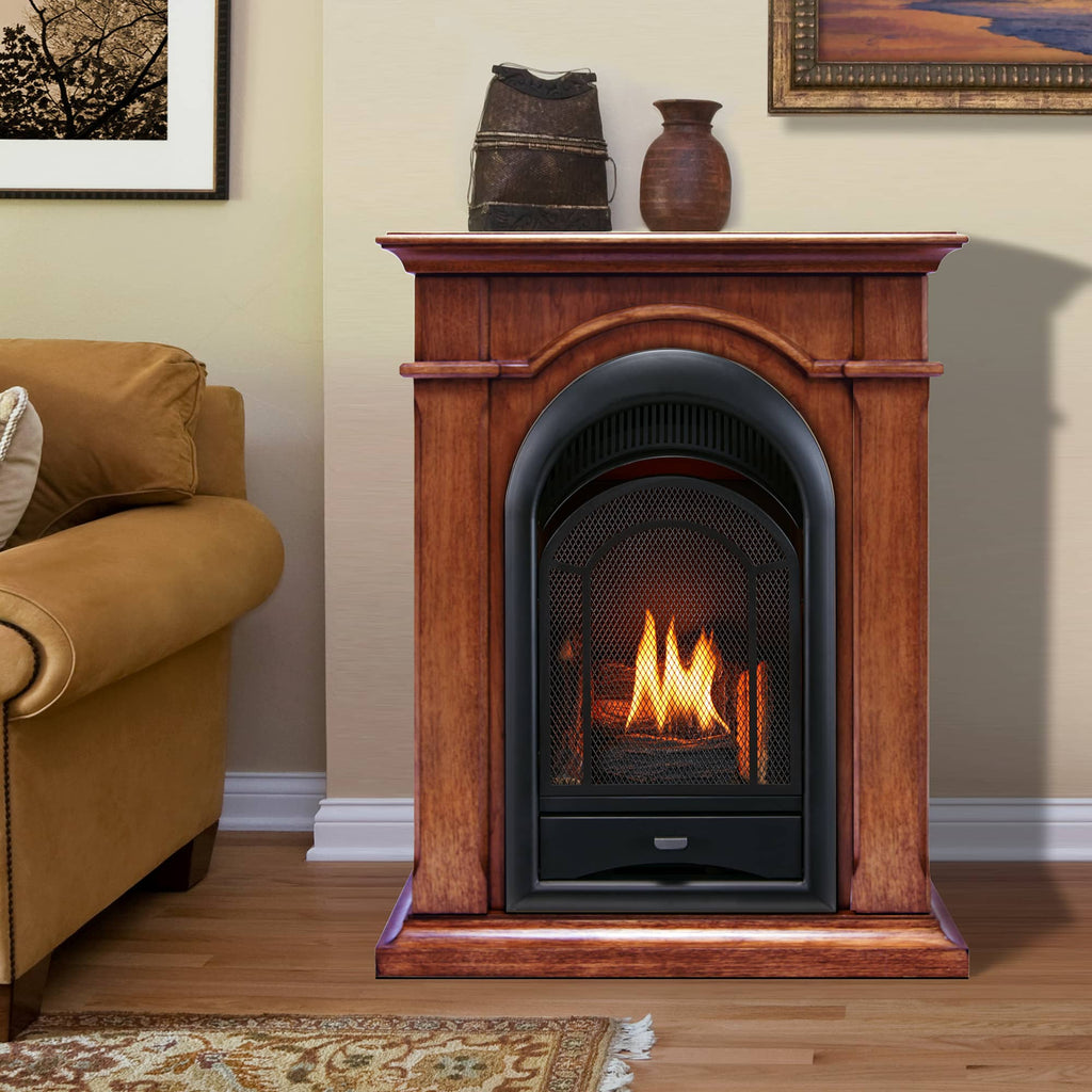 USAProcom-ProCom Dual Fuel Vent Free Gas Fireplace System - 10,000 BTU, T-Stat Control, Apple Spice Finish - Model# FS100T-AS-Dual Fuel Vent Free Gas Fireplace System