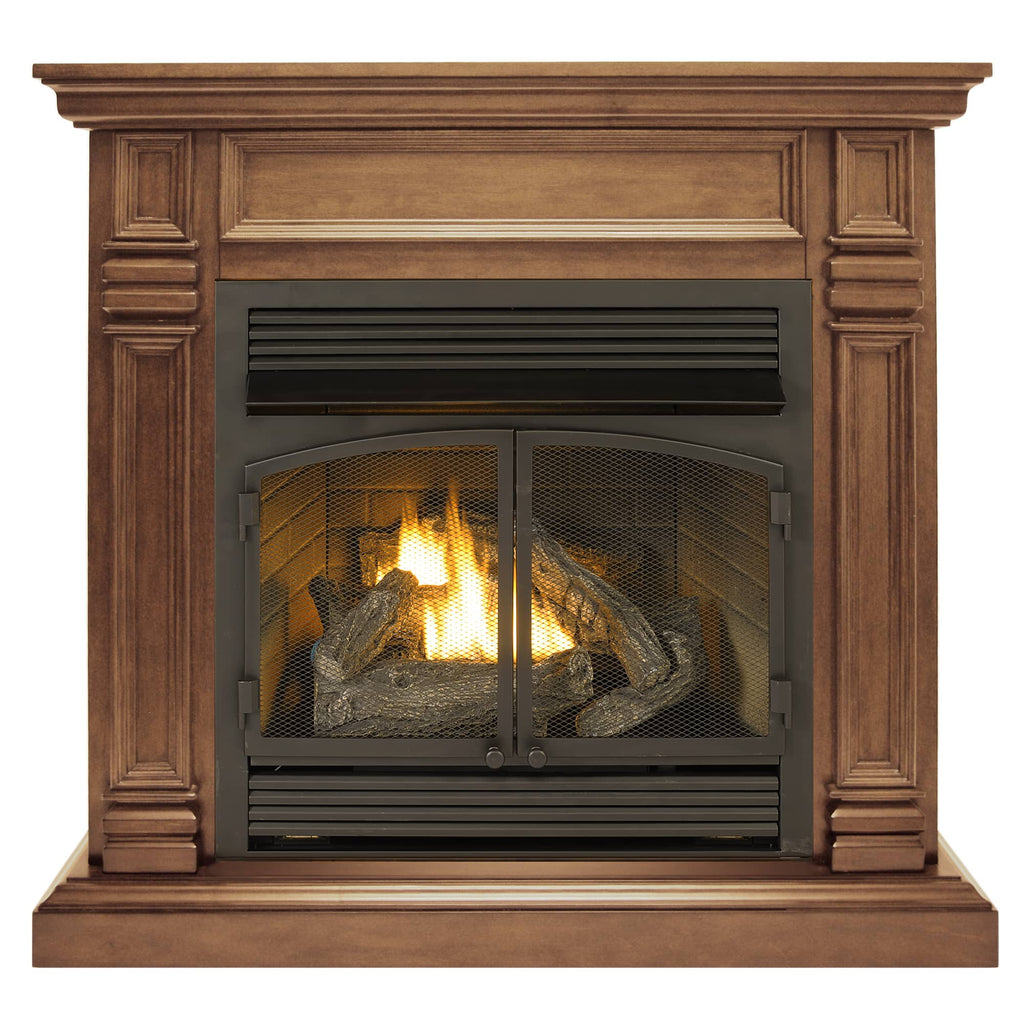 USAProcom-ProCom Dual Fuel Vent Free Gas Fireplace System - 32,000 BTU, Remote Control, Toasted Almond Finish - Model# FBNSD400RT-2TA-Dual Fuel Vent Free Gas Fireplace System