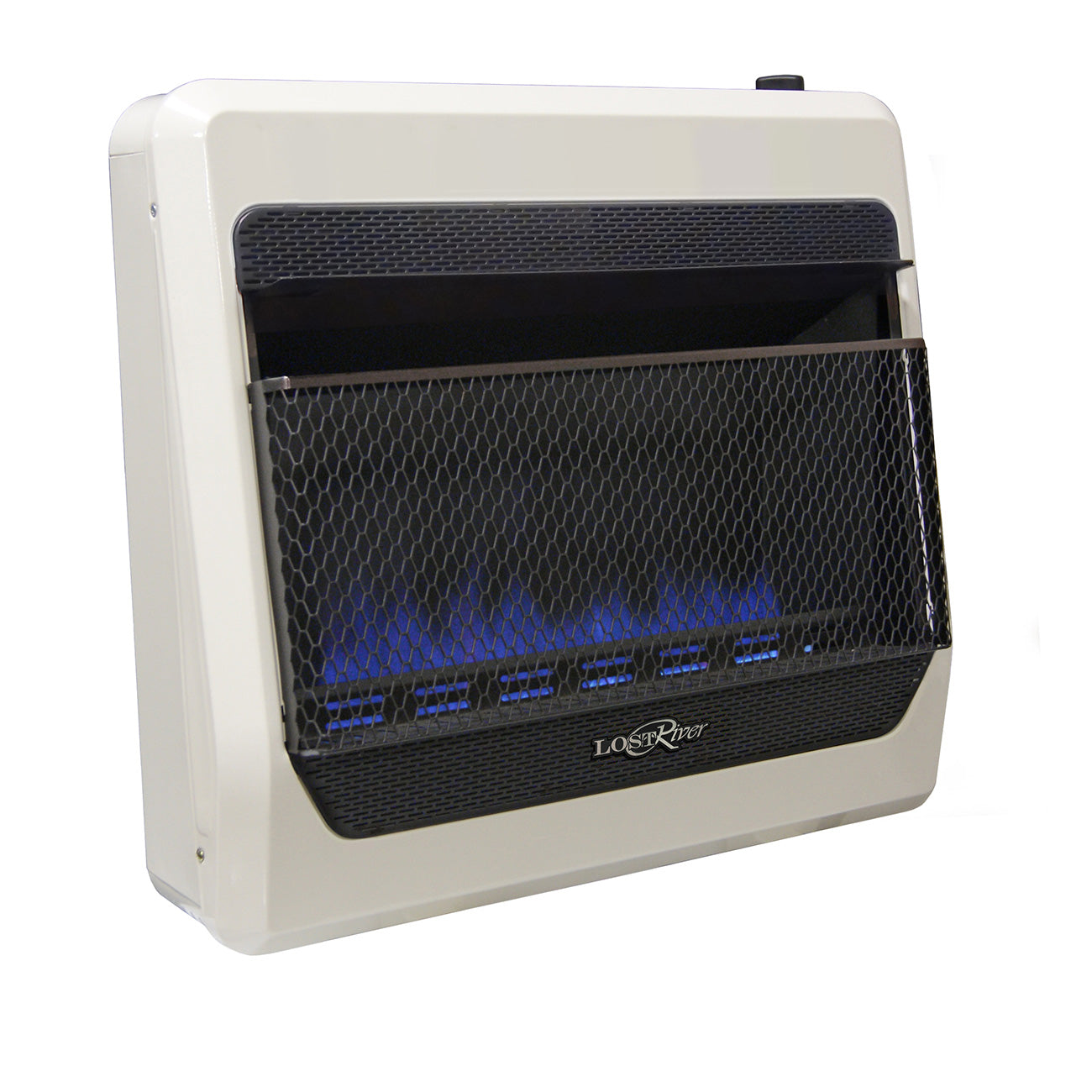 Lost River Dual Fuel Vent Free Blue Flame Gas Space Heater