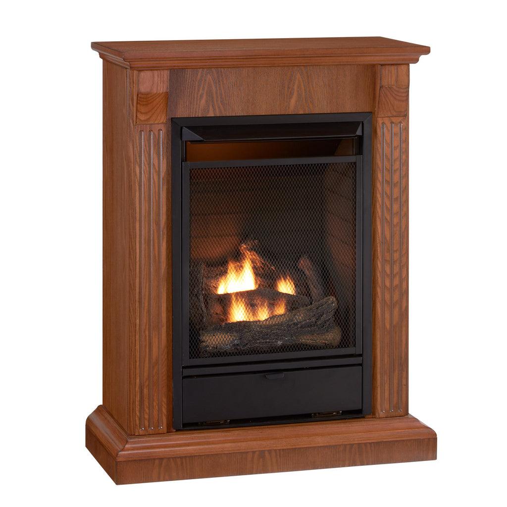 USAProcom-Vent Free Fireplace - Model# ETF200TCC-Ventless